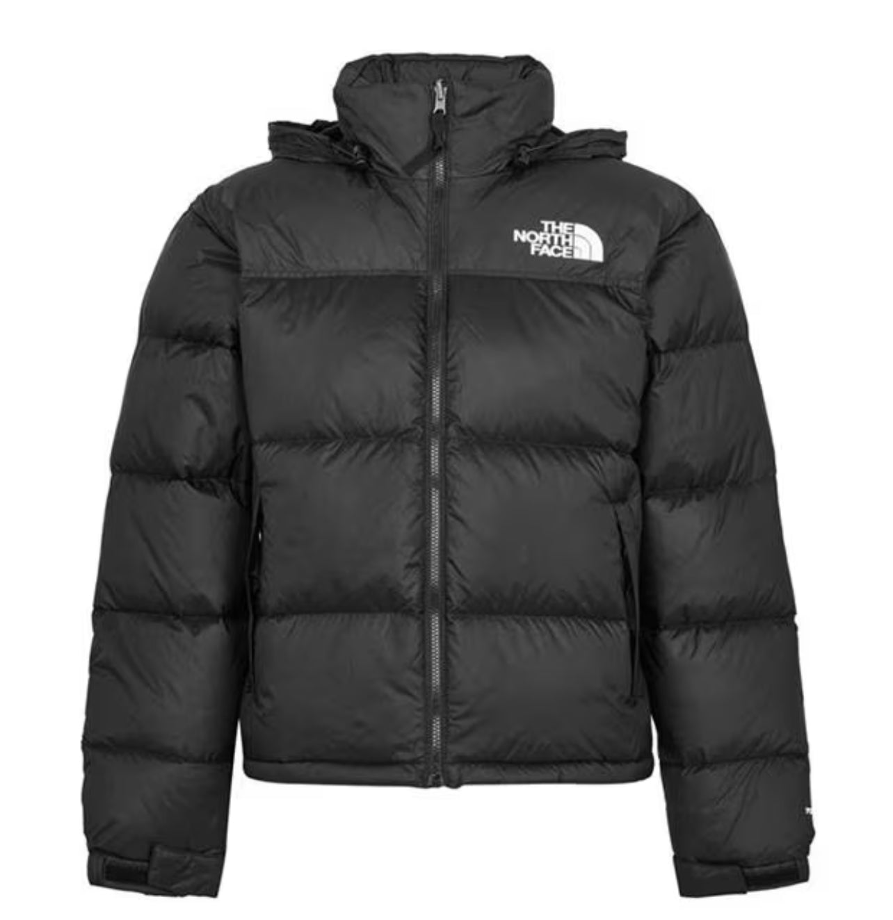 The North Face MEN’S 1996 RETRO NUPTSE JACKET